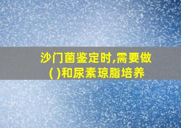 沙门菌鉴定时,需要做( )和尿素琼脂培养